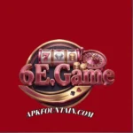 6E Game